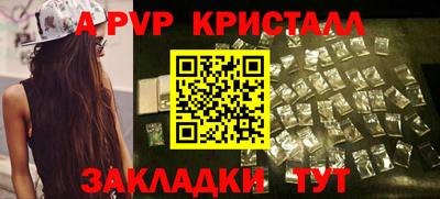 дурь Кингисепп