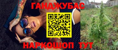 стаф Кимры