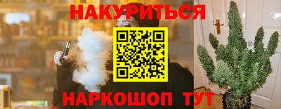 дурь Кингисепп